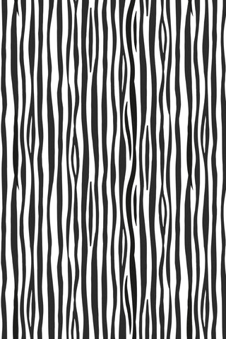Small Things Wild Animals Zebra By Lewis & Irene White / Black