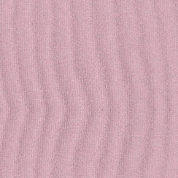 Softique Nylon Lycra Lilac