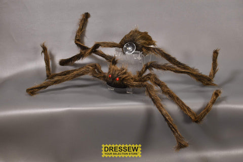 Spider Crasher 30" Brown