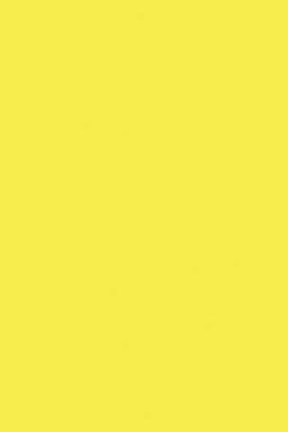 Superior Cotton Solid Yellow
