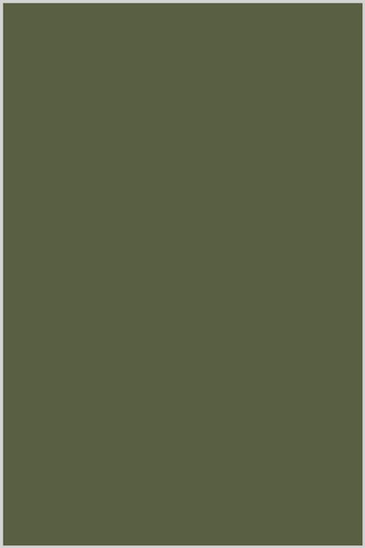 Tre Stelle Cotton Thread 100m #40 Olive