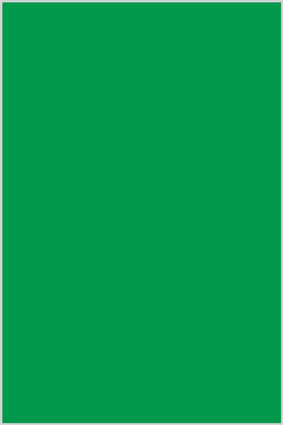 Tre Stelle Cotton Thread 100m #437 Neon Green