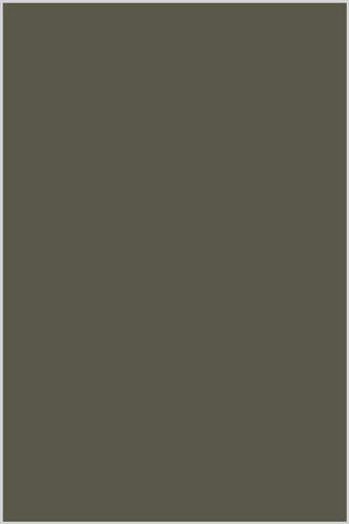 Tre Stelle Cotton Thread 100m #442 Brown Stallion