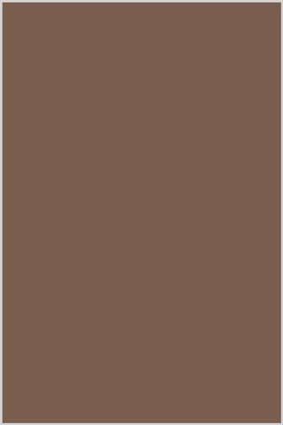 Tre Stelle Cotton Thread 100m #446 Donkey Brown