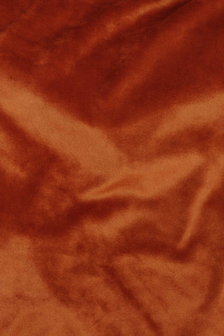 Velour Plush Burnt Orange