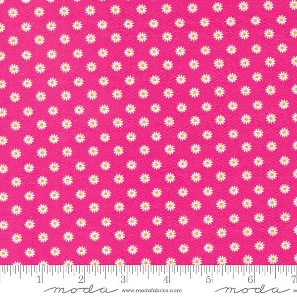 Vintage Soul Daisy Dots By Cathe Holden For Moda Hot Pink