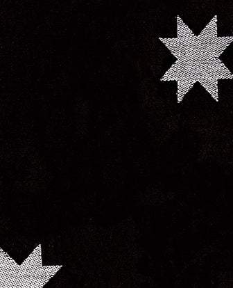 Warp And Weft Mystic Fable Quilt Star By Alexia Marcelle Abegg Of Ruby Star Society For Moda Black / White