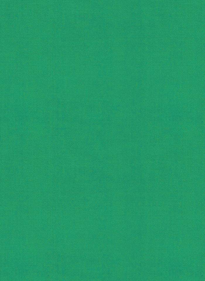 Warp & Weft Hue By Alexia Marcell Abegg Of Ruby Star Society For Moda Grass