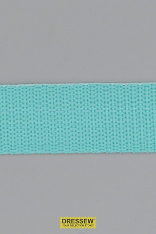 Webbing 25mm (1") Aqua