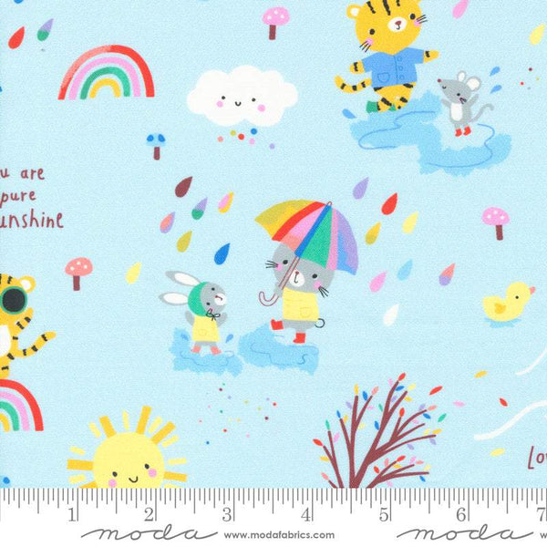 Whatever The Weather All Weather Friends By Paper + Cloth For Moda Rain