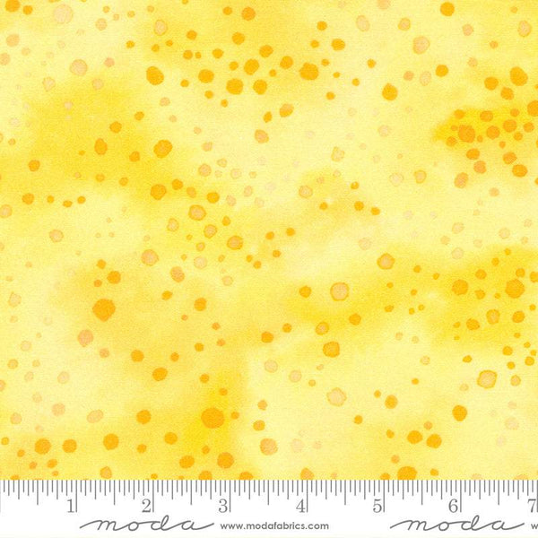 Whimsy Wonderland Watercolor Spritz By Momo For Moda Sunshine